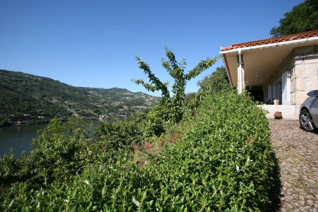 Douro Valley - Casa Do Campo Resende Covelas  Εξωτερικό φωτογραφία